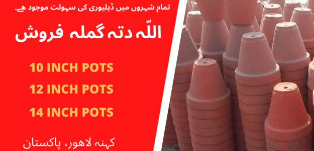 Allah Ditta Gamla Ferosh