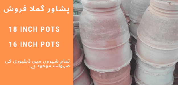 Peshawar GamIa Ferosh