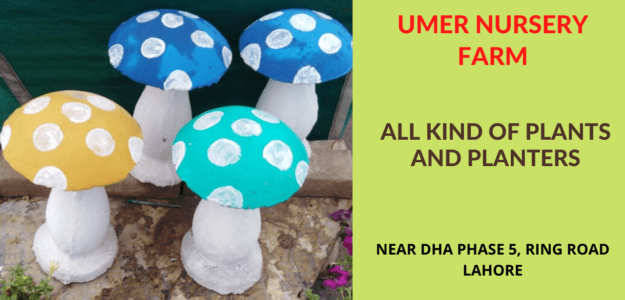 Umer Nursery Farm